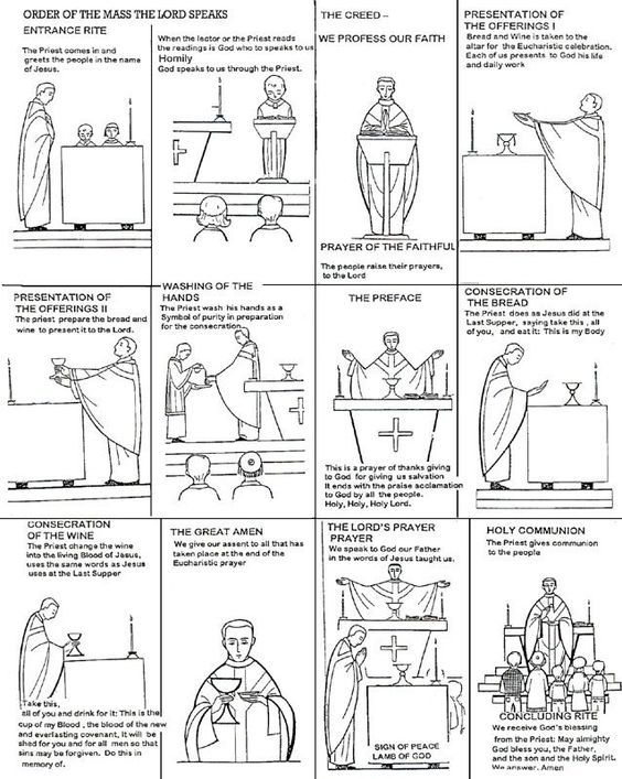 The Parts Of The Mass Worksheet