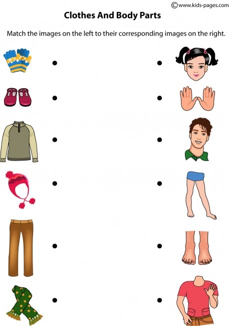 Body Parts And Clothes Worksheet
