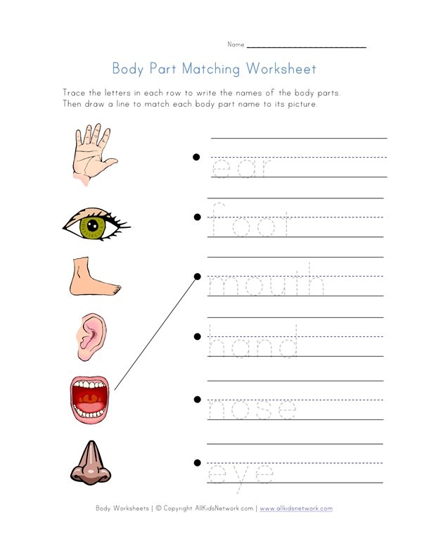 Body Matching Worksheet