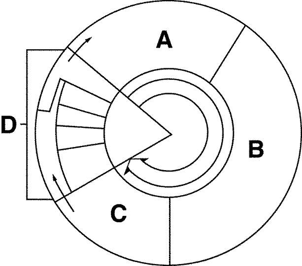 Cell Cycle Labeling Worksheet Worksheets For All Free Worksheets Samples