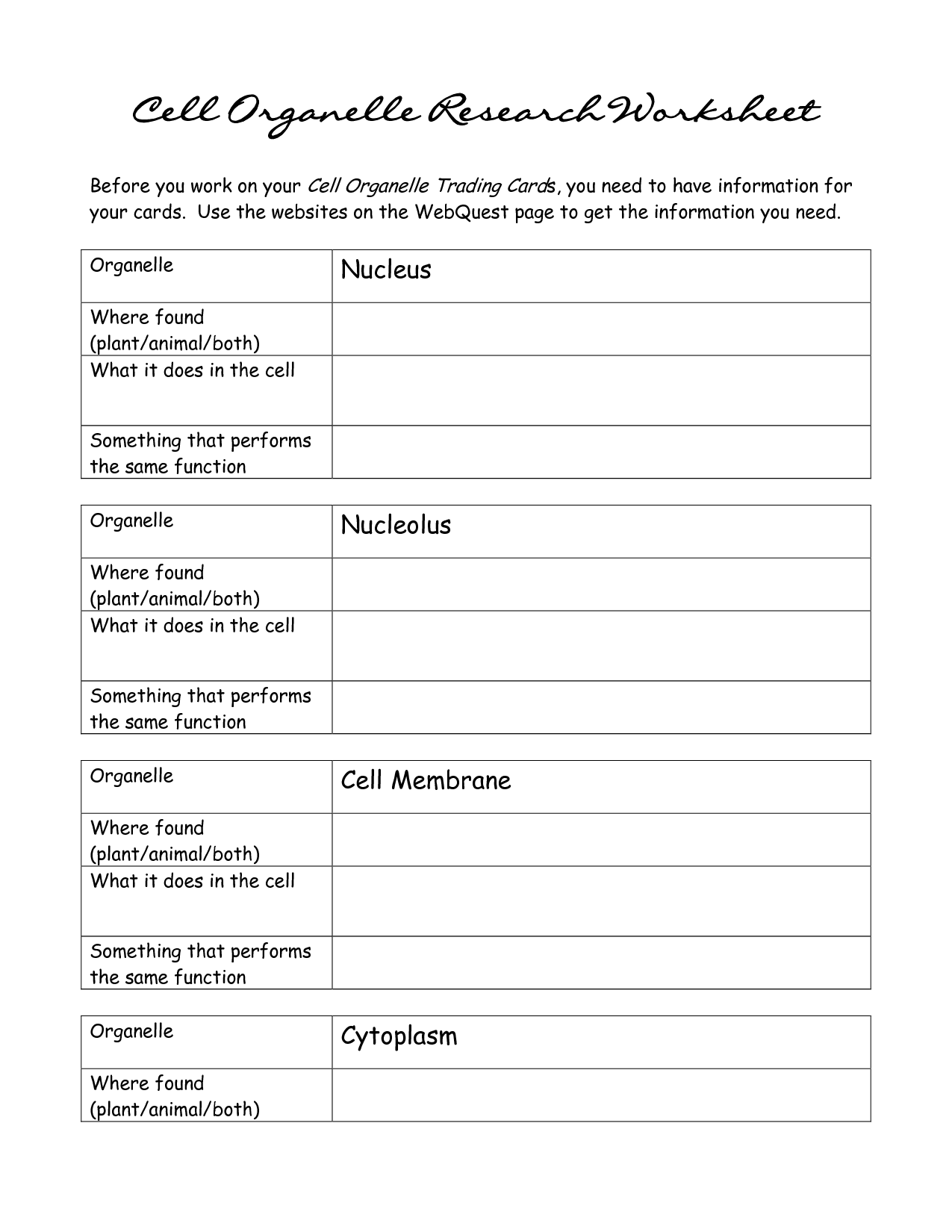 Organelles Activity Sheet