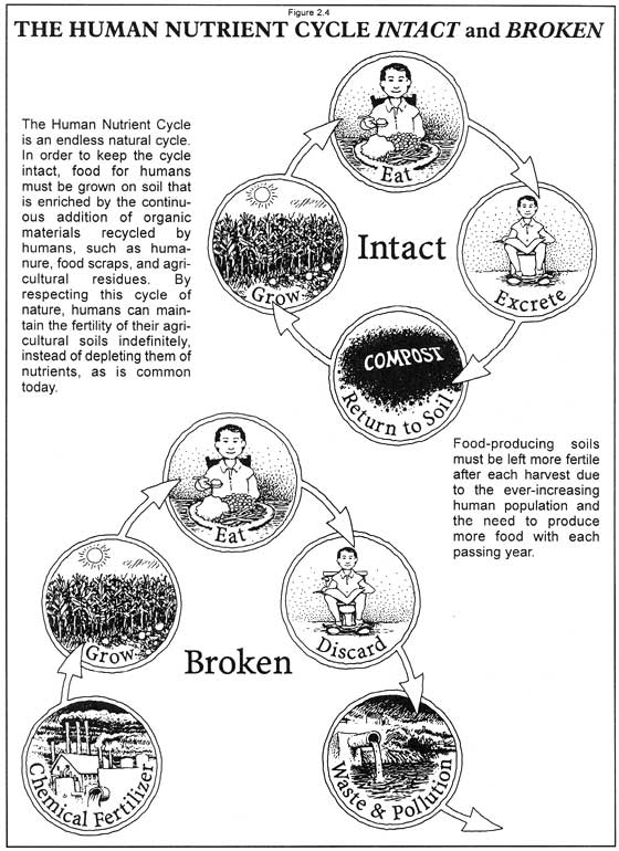 02_01 Human Nutrient Cycle