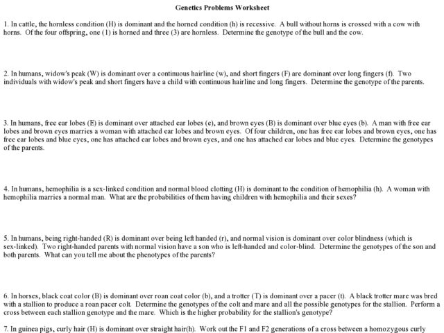 Genetic Problems Worksheet And Answer Worksheets For All