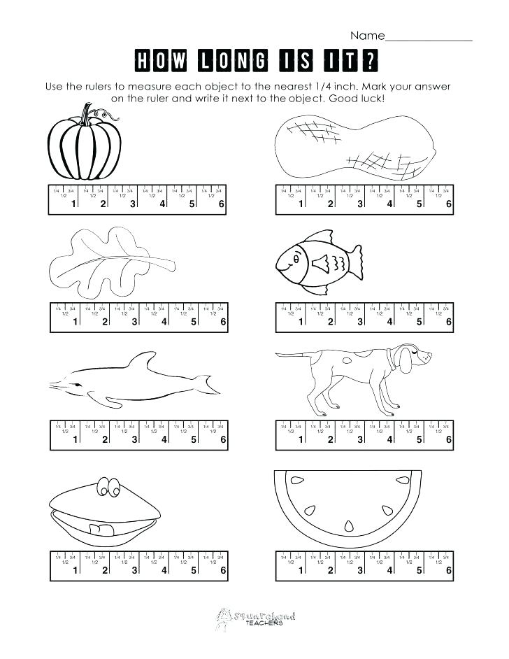 Grade Measurement Worksheets Geometry And Geometric Worksheet 4
