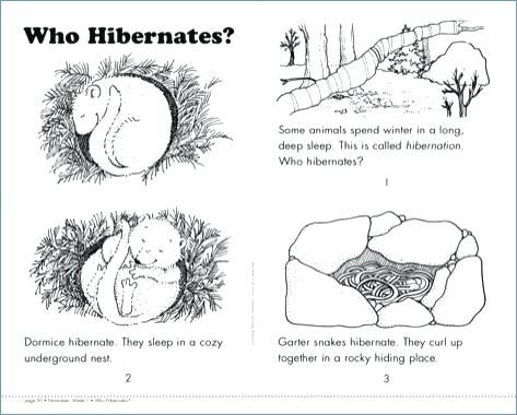 Hibernation Worksheets For Kindergarten Free 2nd Grade Worksheet