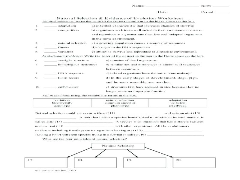 evidence-of-evolution-worksheets-answers