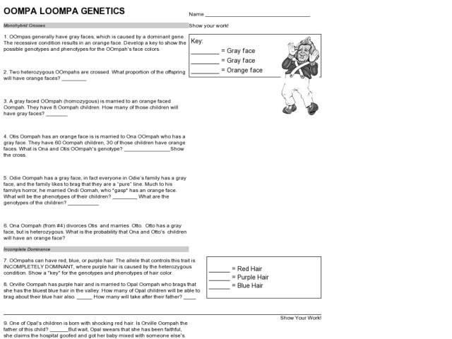 Oompa Loompa Genetics Answer Sheet | Free Worksheets Samples