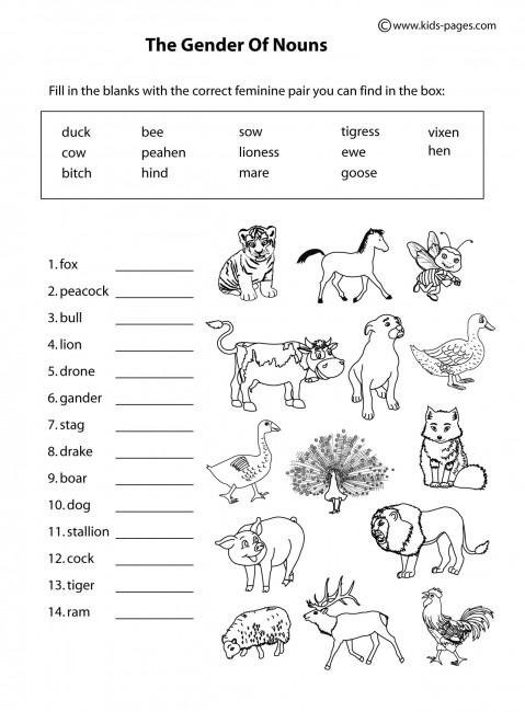 Animals Gender B&w Worksheet
