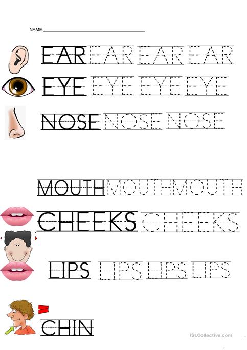 Parts Of The Face Worksheet