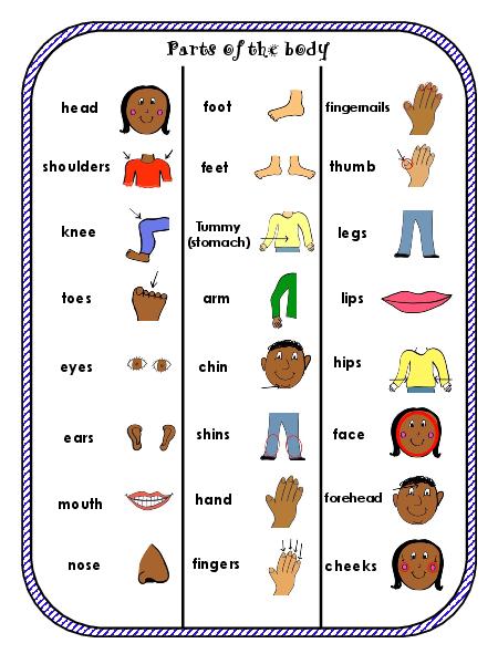 Worksheet Pack Parts Of The Body Vocabulary Printables For Esl | Free ...