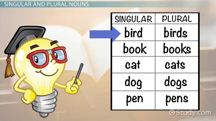 Singular & Plural Nouns  Lesson For Kids