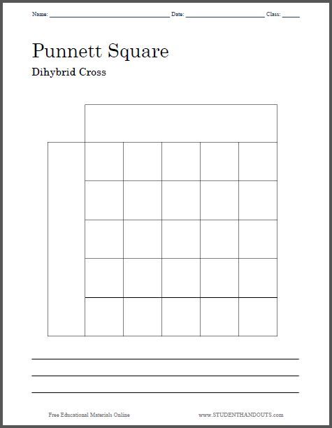 Punnett Square Dihybrid Cross Worksheet