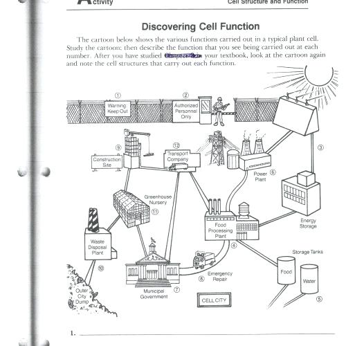 Cell City Analogy Worksheets Answer Key