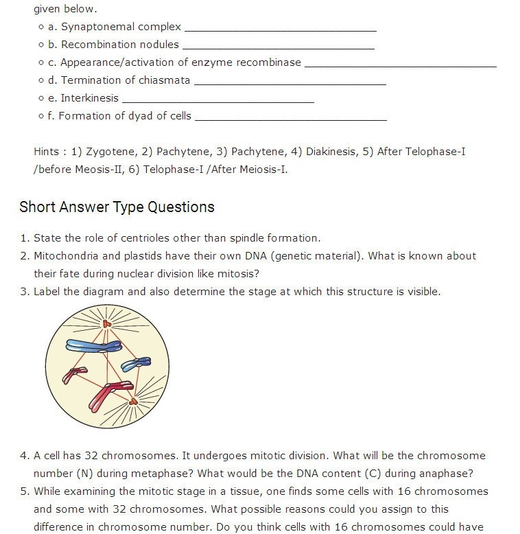 Cells And Their Environment Worksheets Answers Cells And Their Environment Worksheets Answers