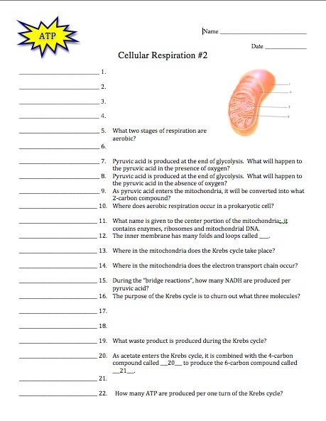 Lisbon Treaty Changes Essay Writer