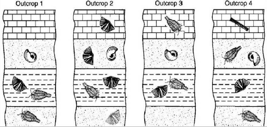 Correlating Rock Layers â Mr  Mulroy's Earth Science