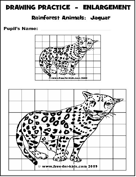 Free Printables For Enlargement Worksheets