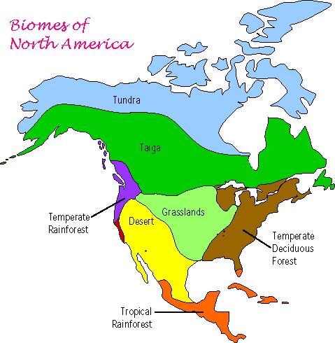 North American Biomes Worksheet Worksheets For All
