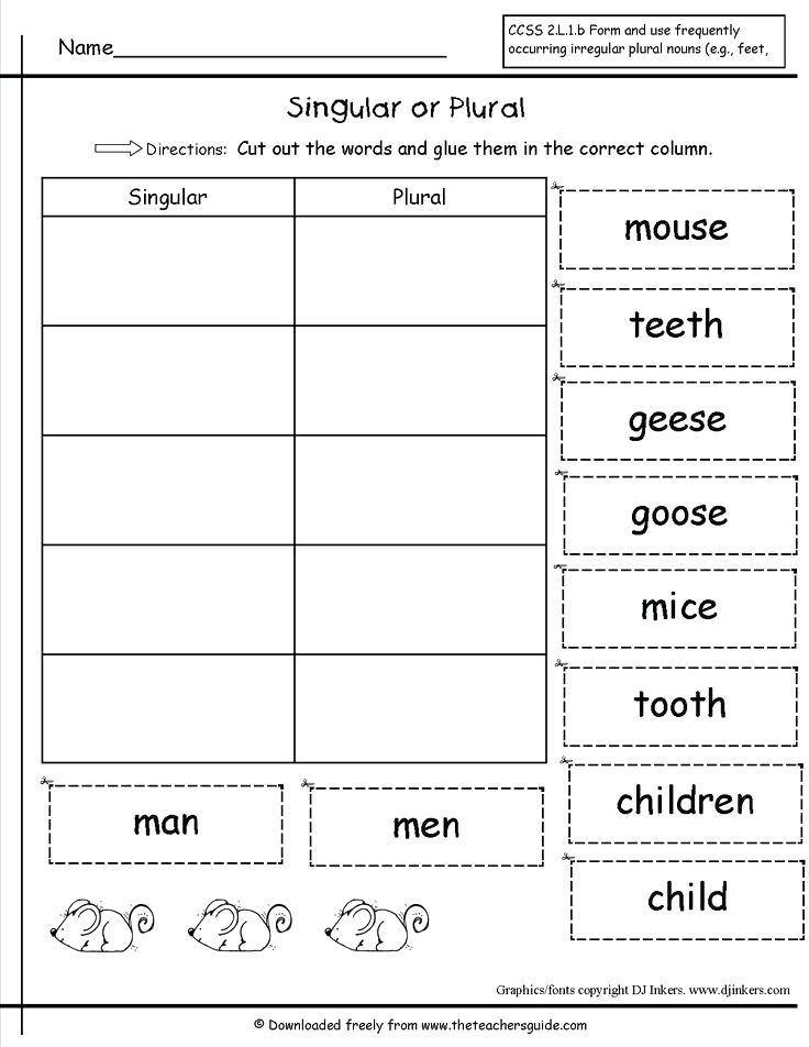 Singular And Plural Nouns A Noun Names One Person Possessive