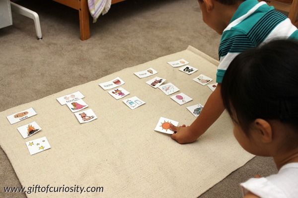 My Five Senses Activities {free Five Senses Printables}