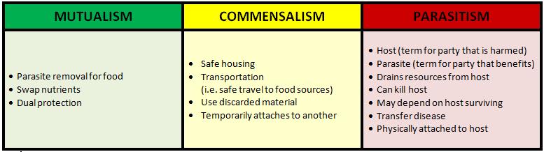 Symbiotic Relationships Worksheets Worksheets For All