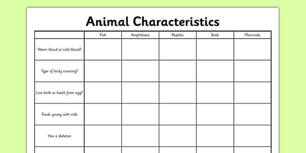 Animal Characteristics Worksheet   Activity Sheet