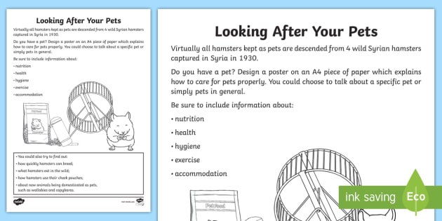 Looking After Your Pets Worksheet   Activity Sheet