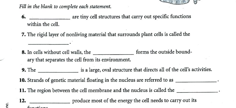 The Cell In Its Environment Worksheet Answers Worksheets For All