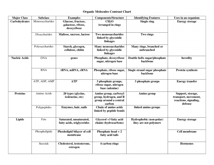 4 Types Of Macromolecules Chart