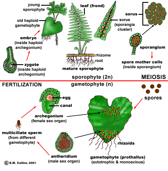 Lab Manual Exercise  8