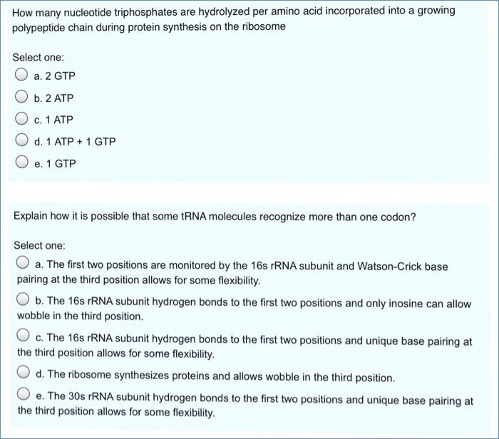 Organic Molecules Worksheet Review Answers