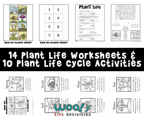 How Do Plants Grow  Plant Life Worksheets For Kids