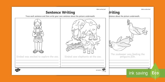 Who's At The Zoo  Trace And Copy Sentences Worksheet   Activity Sheet