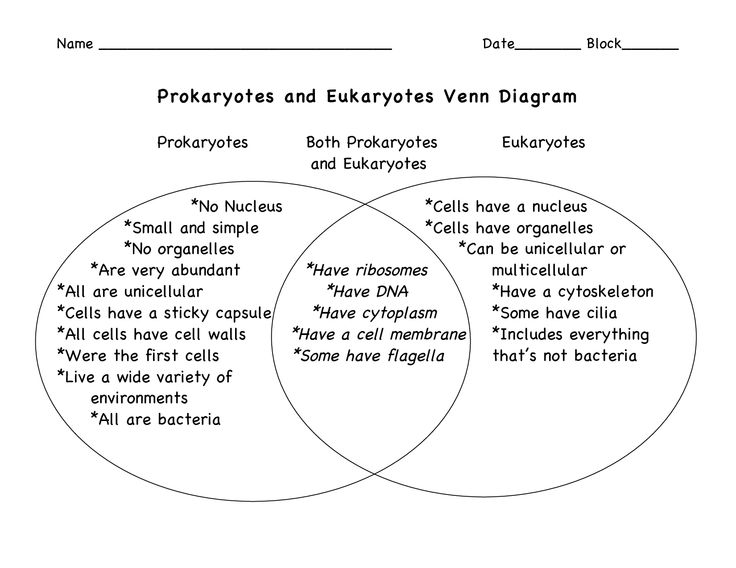 Venn Diagram Of Prokaryotes Eukaryotes