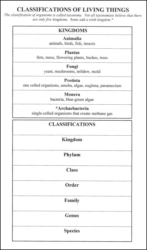 Classification Of Living Things (6  X 9  Laminated Chart) (053764