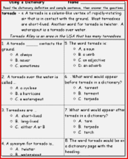 2nd Grade Reading Comprehension Worksheets Multiple Choice 2nd