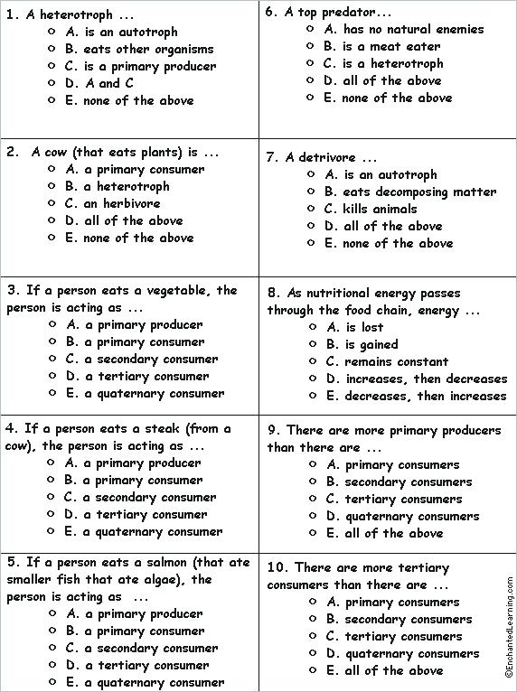3rd Grade Science Worksheets Free Grade Science Worksheets Second