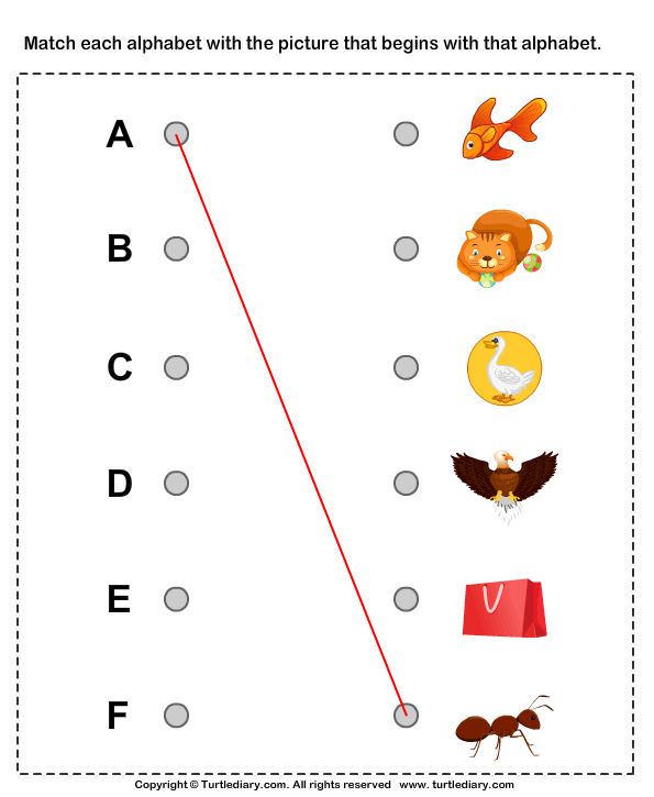Alphabet Worksheet
