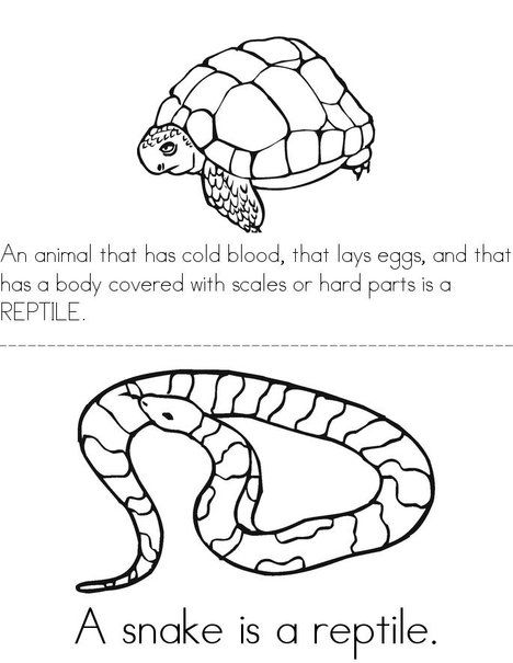 What Is A Reptile  Printable Reptile Book By Twistynoodle Com