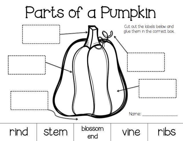 Taylor (mstaylormorgan) On Free Worksheets Samples
