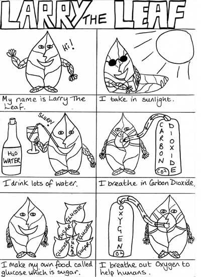 Photosynthesis Coloring Sheet  Make Kids Create Their Own Comics