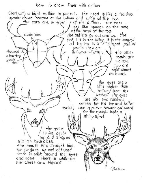 How To Draw Worksheets For Young Artist These Could Be Great For