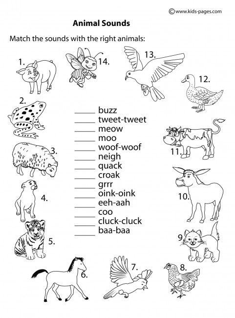 Animal Sounds B&w Worksheets