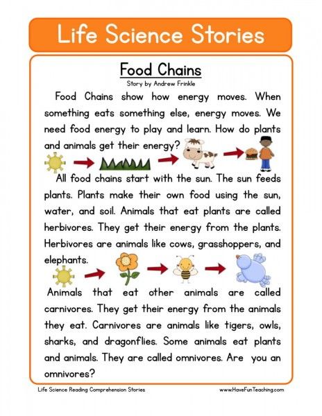 Reading Comprehension Worksheet