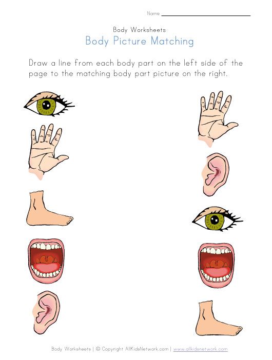 Body Picture Matching Worksheet