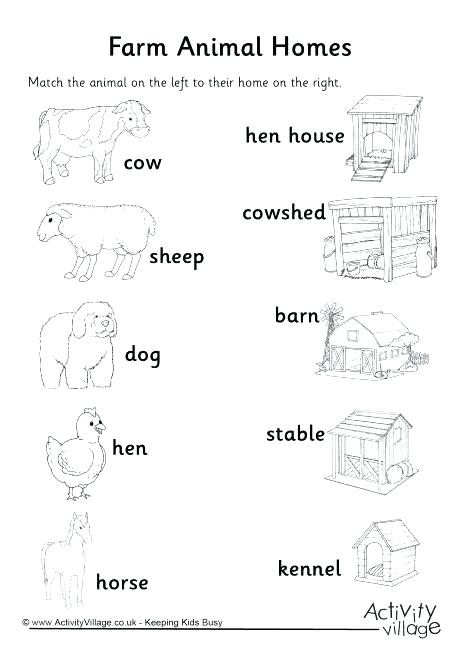 Animals And Their Homes Pictures Worksheets Animals And Their