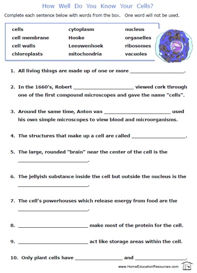 Cells Worksheets â Home Education Resources