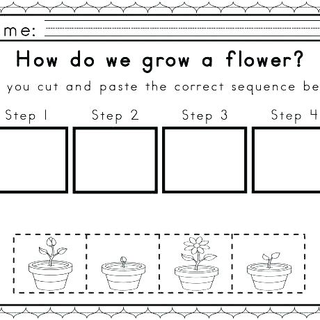 Cut And Paste Story Sequencing Worksheets Sequence For Picture