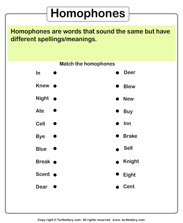 Homonyms Homophones Worksheets