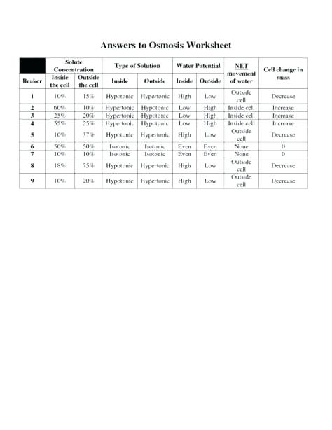 Diffusion Worksheet Diffusion Flip Book Differentiated Worksheet